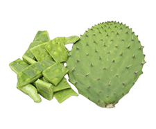 Nopal cladode Extract